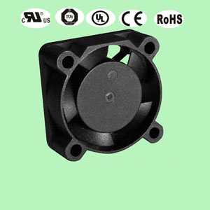 2510ֱ���L��