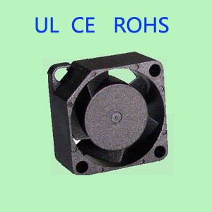 2010ֱ���L��