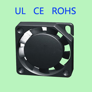 2006ֱ���L��